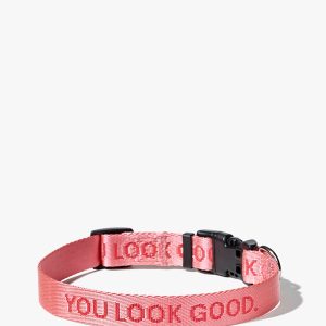 You Look Good Collar