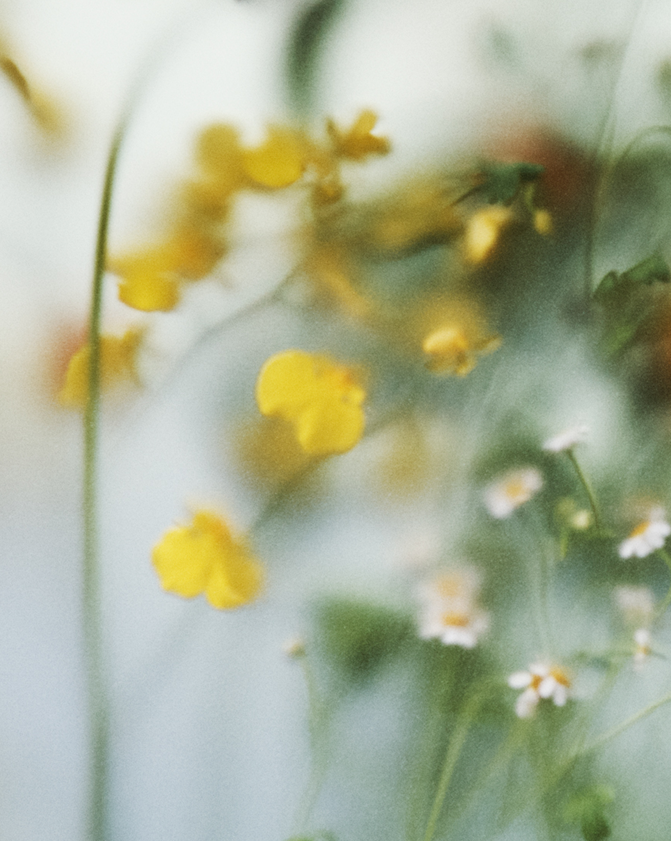 Glossier You Fleur - Image 5