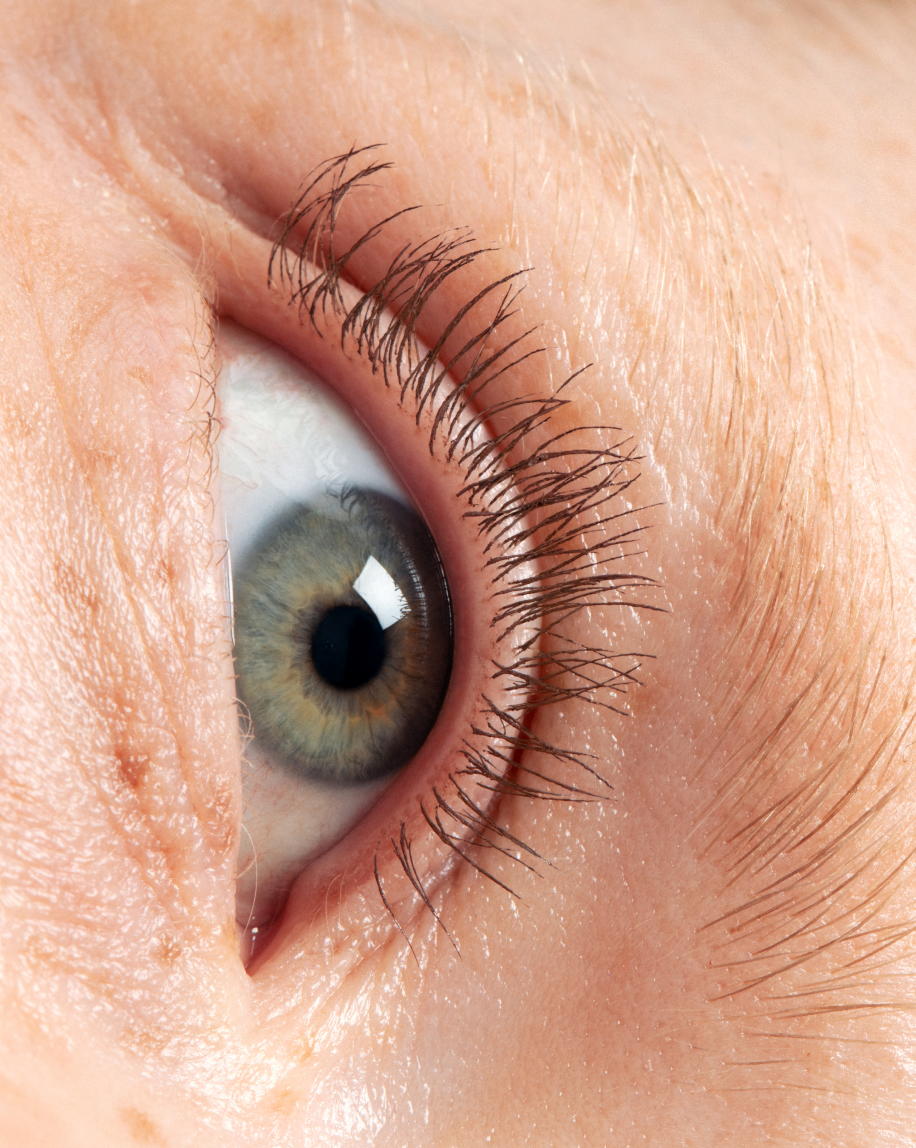Lash Slick - Image 11